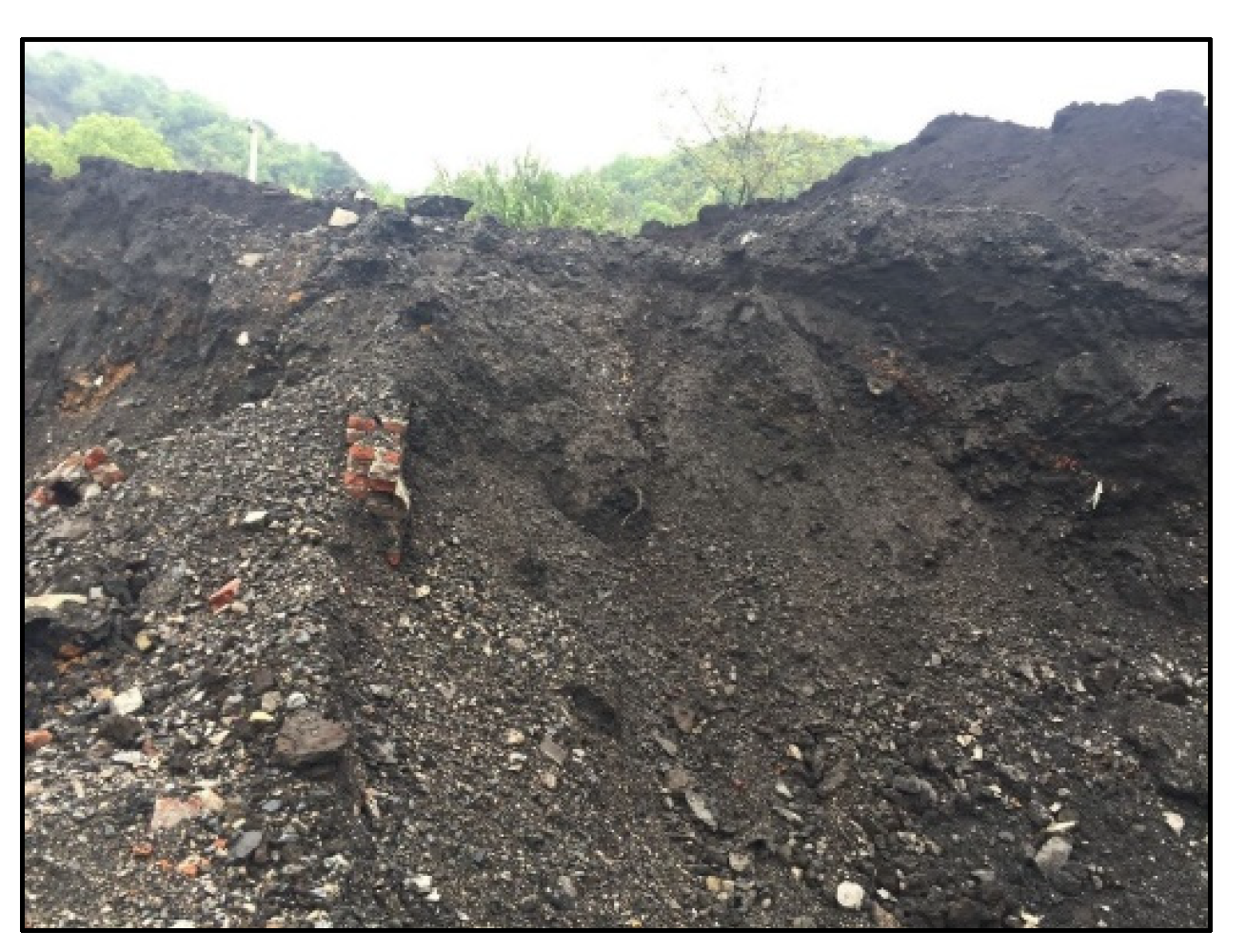 Applsci 13 04128 g001