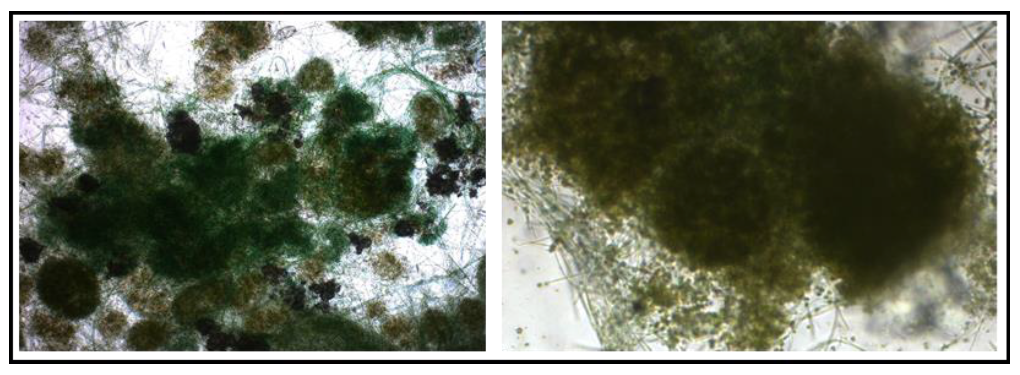 Applsci 13 07387 g001