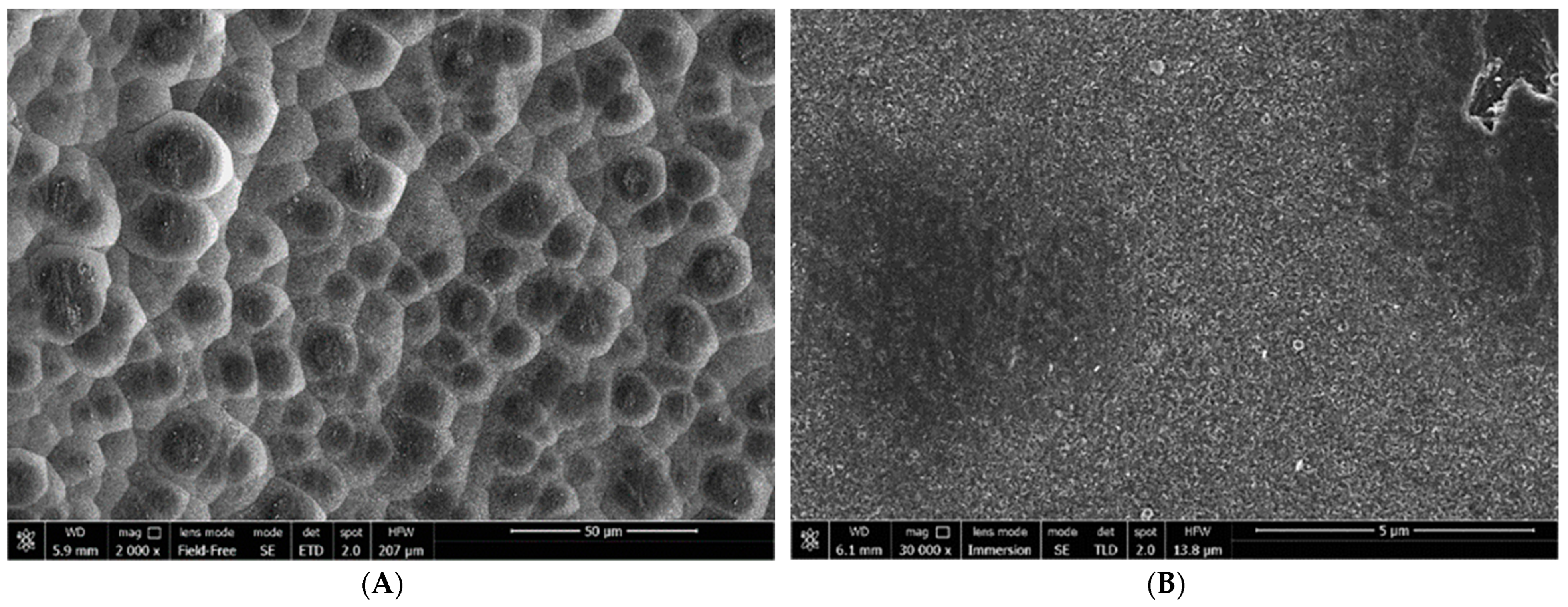 Applsci 13 10817 g009