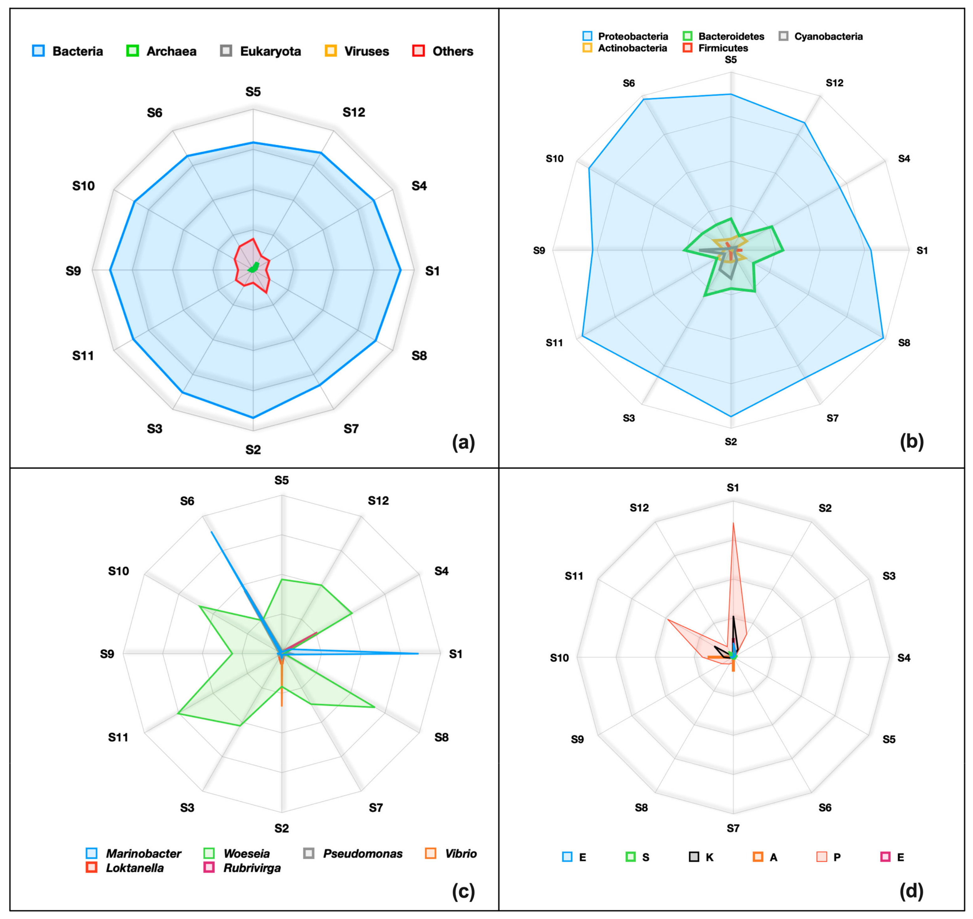 Applsci 13 11229 g006