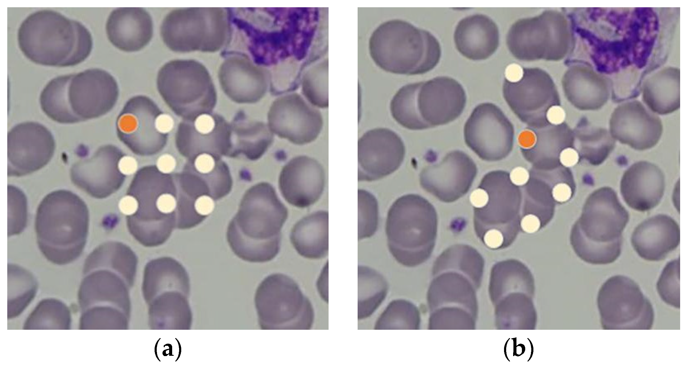 Applsci 13 12412 g002