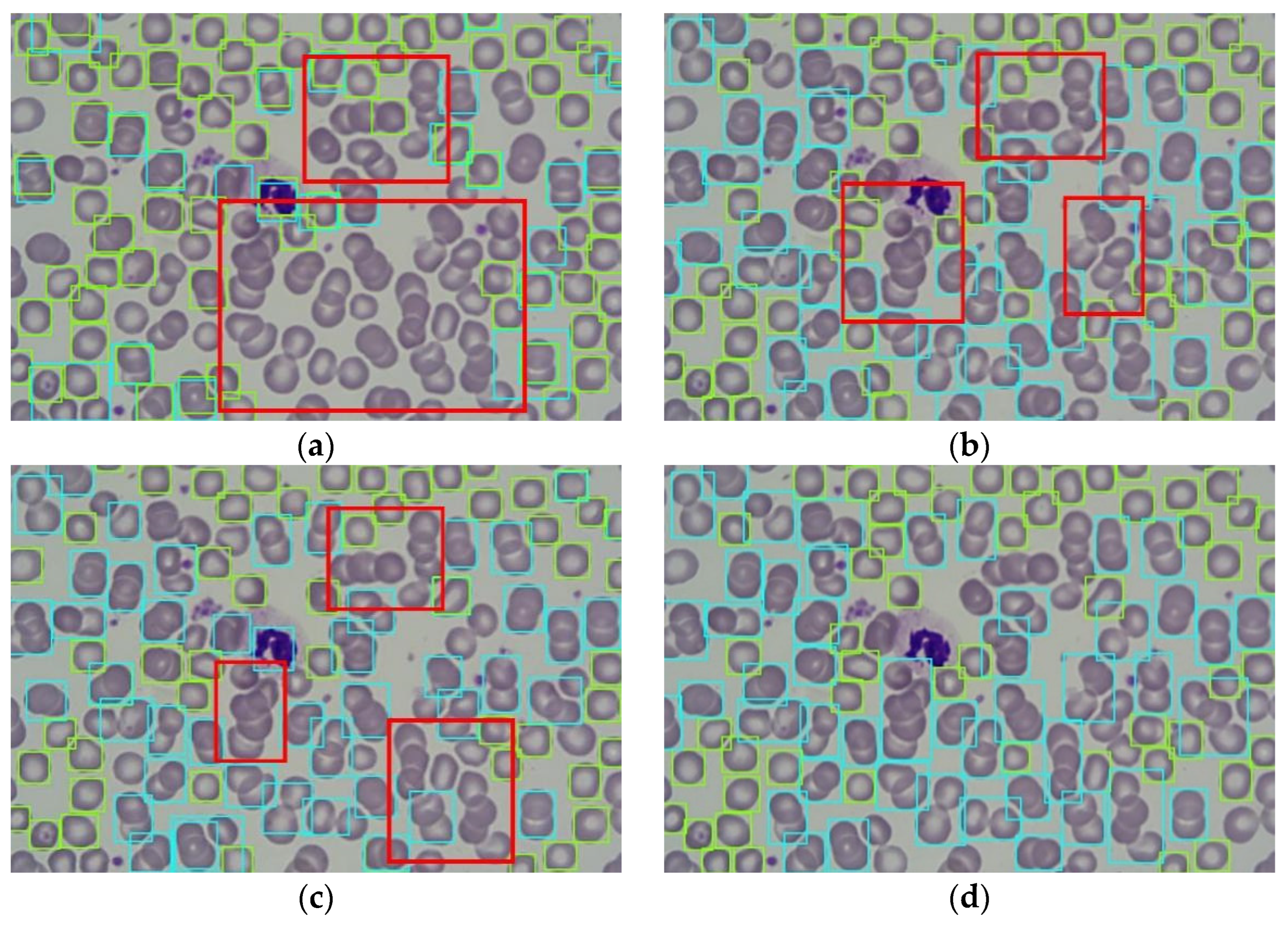 Applsci 13 12412 g006