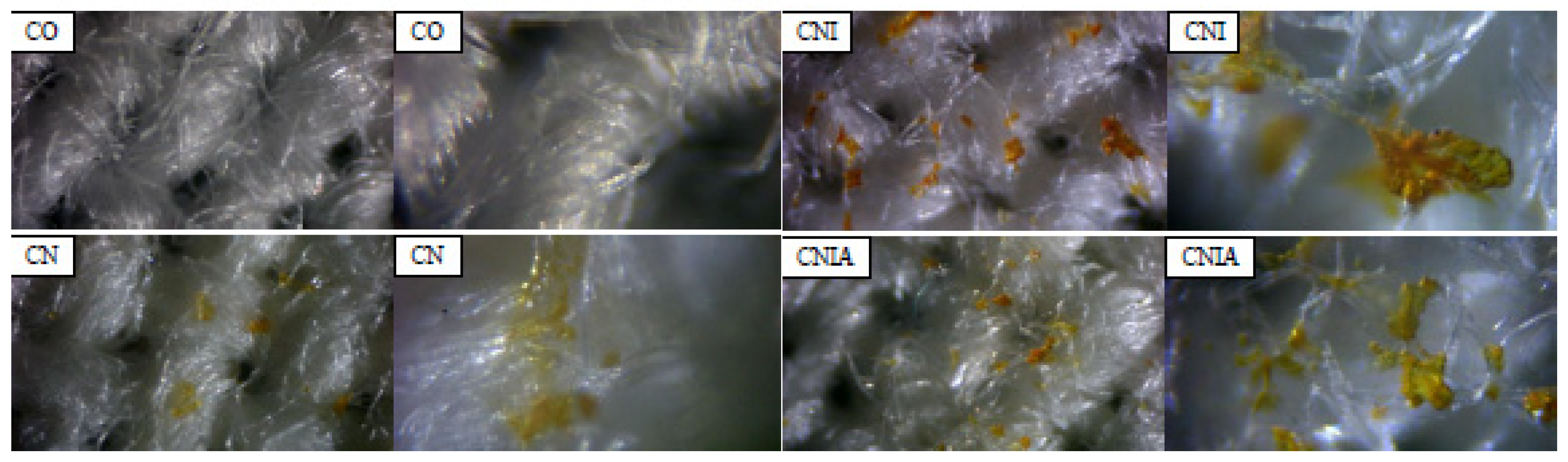 Applsci 13 12660 g007