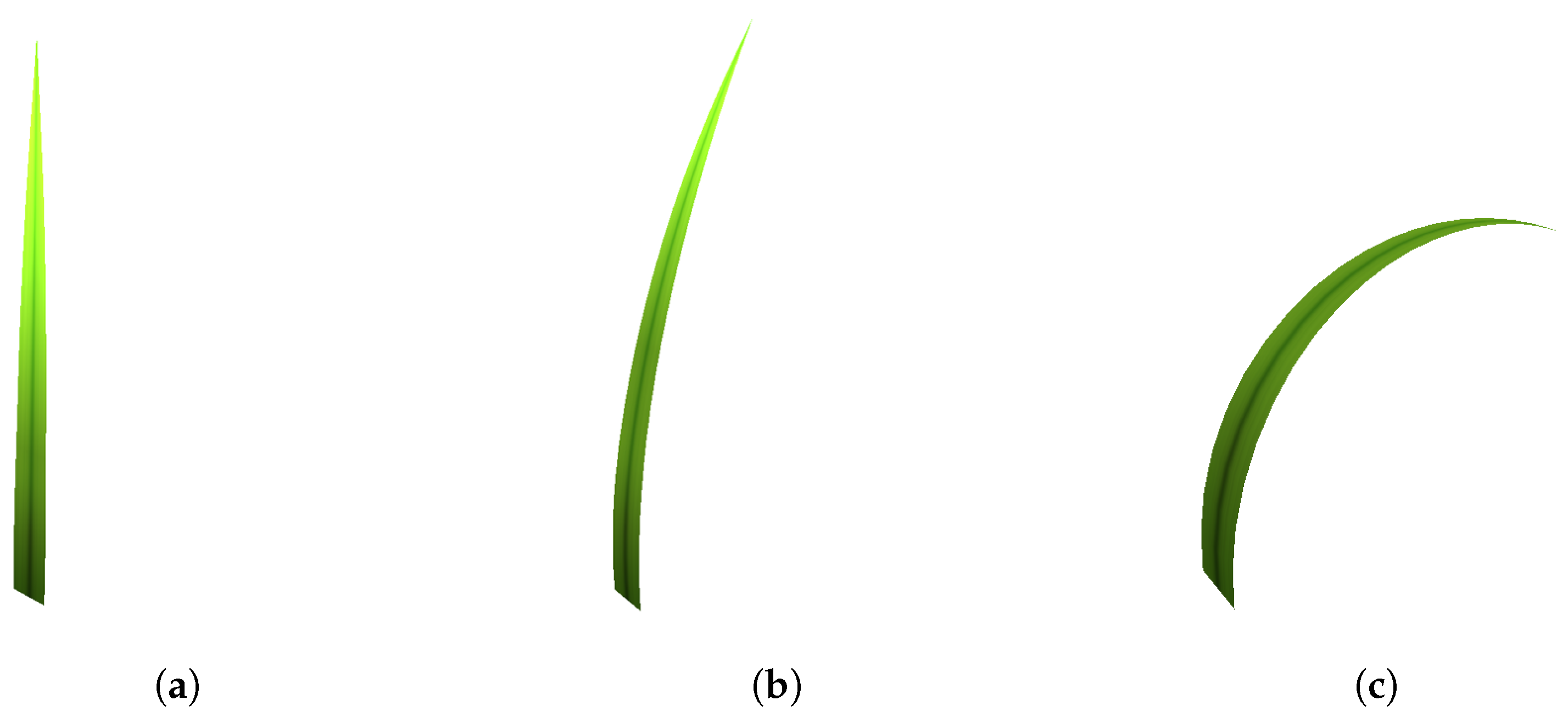 Applsci 14 00548 g003