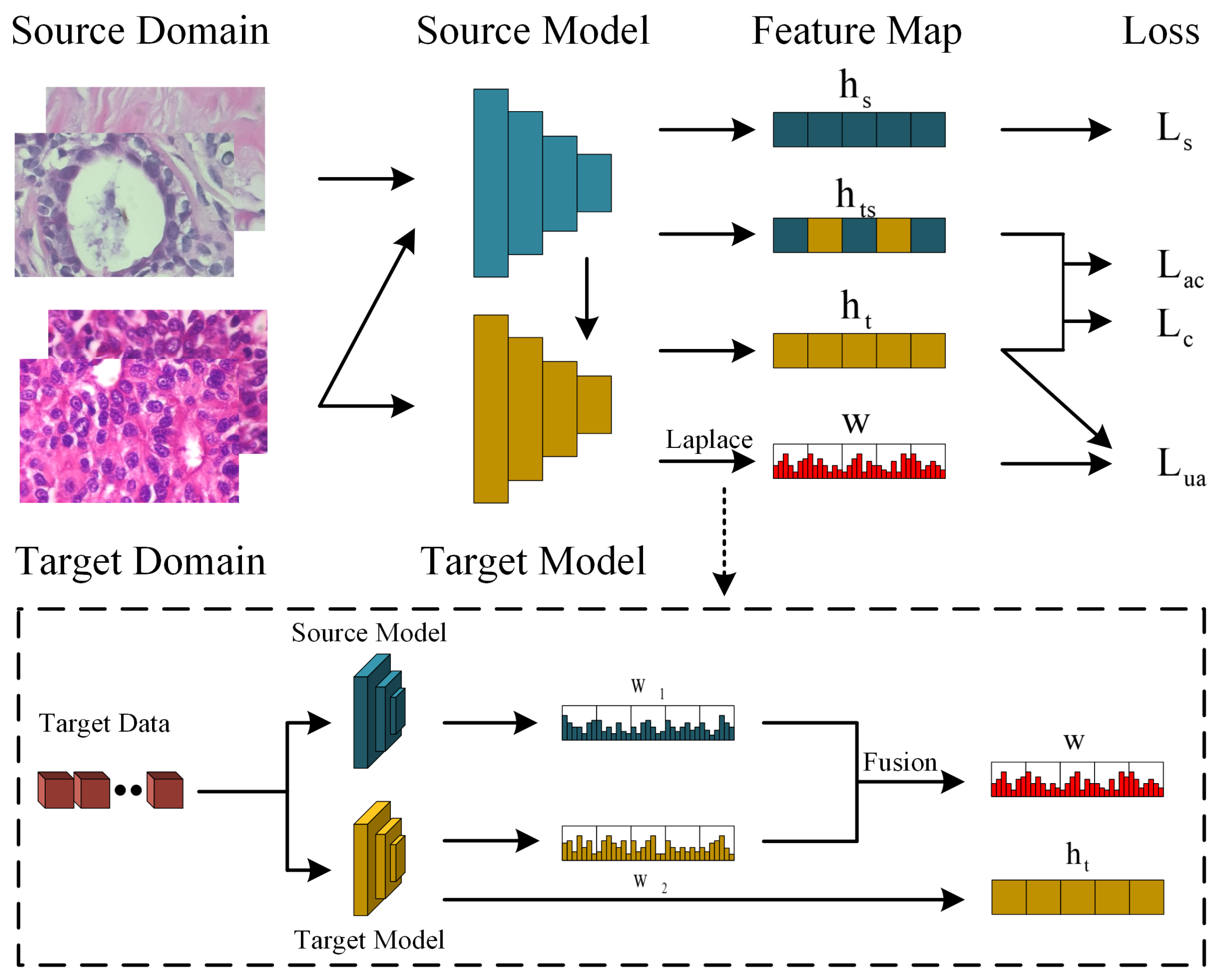 Applsci 14 02900 g002