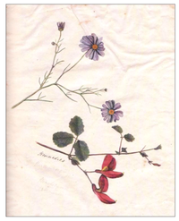 Arts 01 00013 g001 200