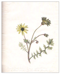 Arts 01 00013 g003 200