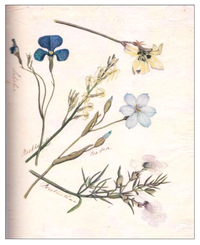Arts 01 00013 g004 200