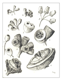 Arts 01 00013 g005 200