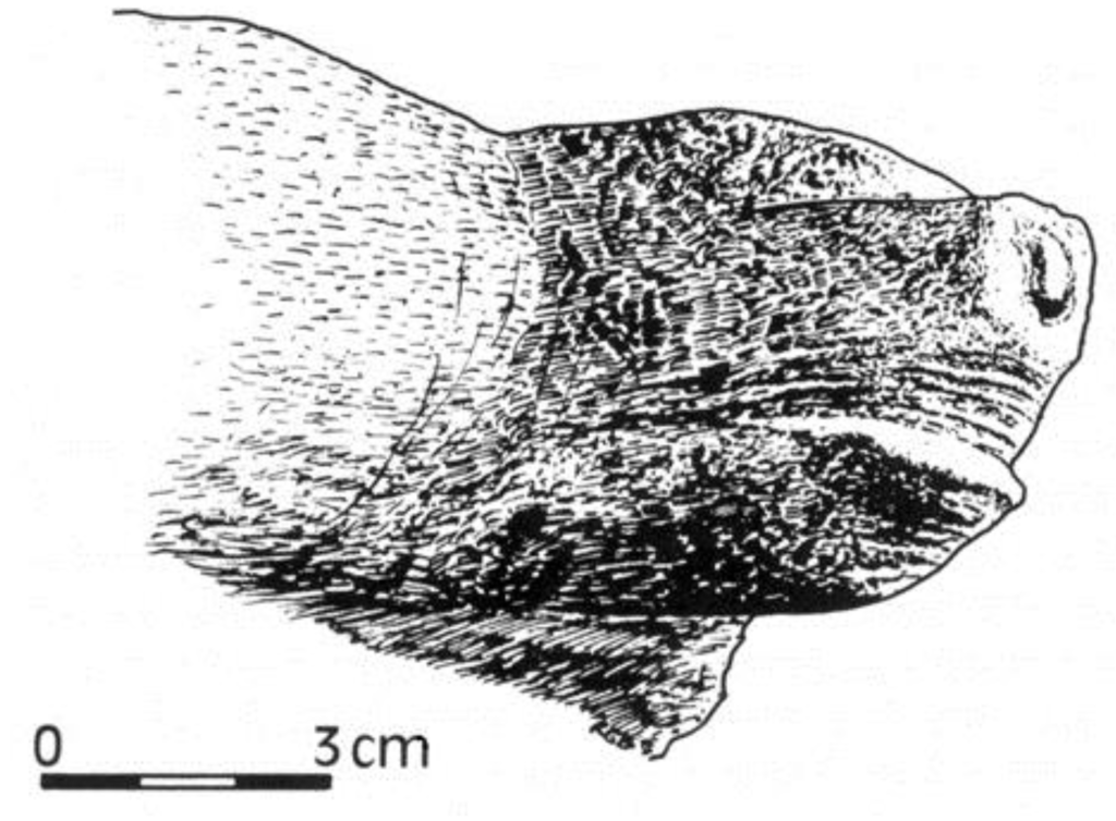 Arts 02 00046 g009 1024