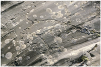 Arts 02 00151 g004 200