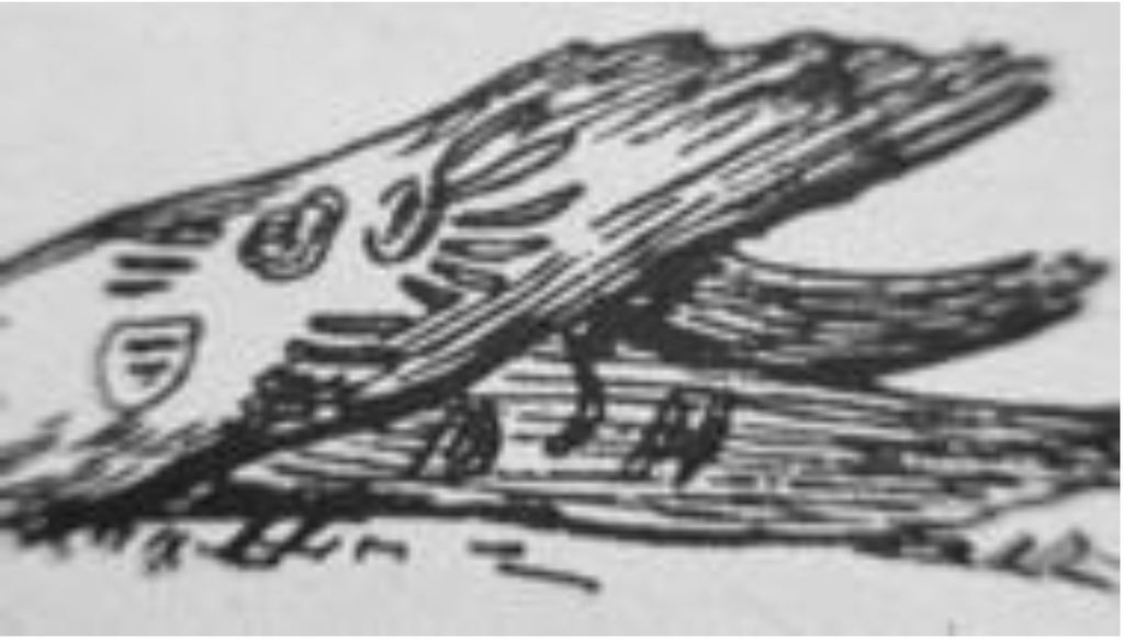 Arts 02 00182 g003 1024
