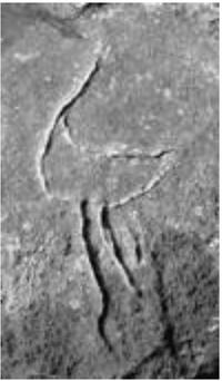 Arts 02 00182 g015 200