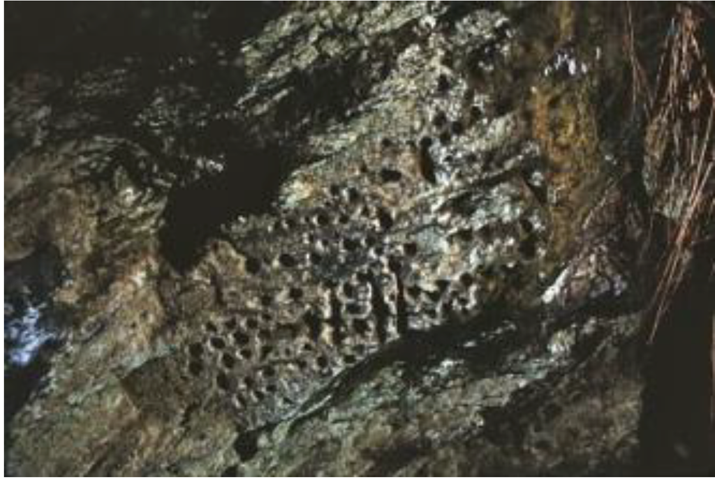 Arts 02 00182 g041 1024
