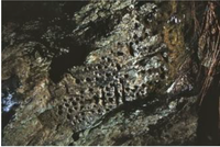 Arts 02 00182 g041 200