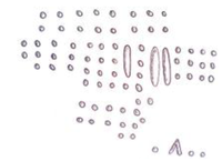 Arts 02 00182 g042 200
