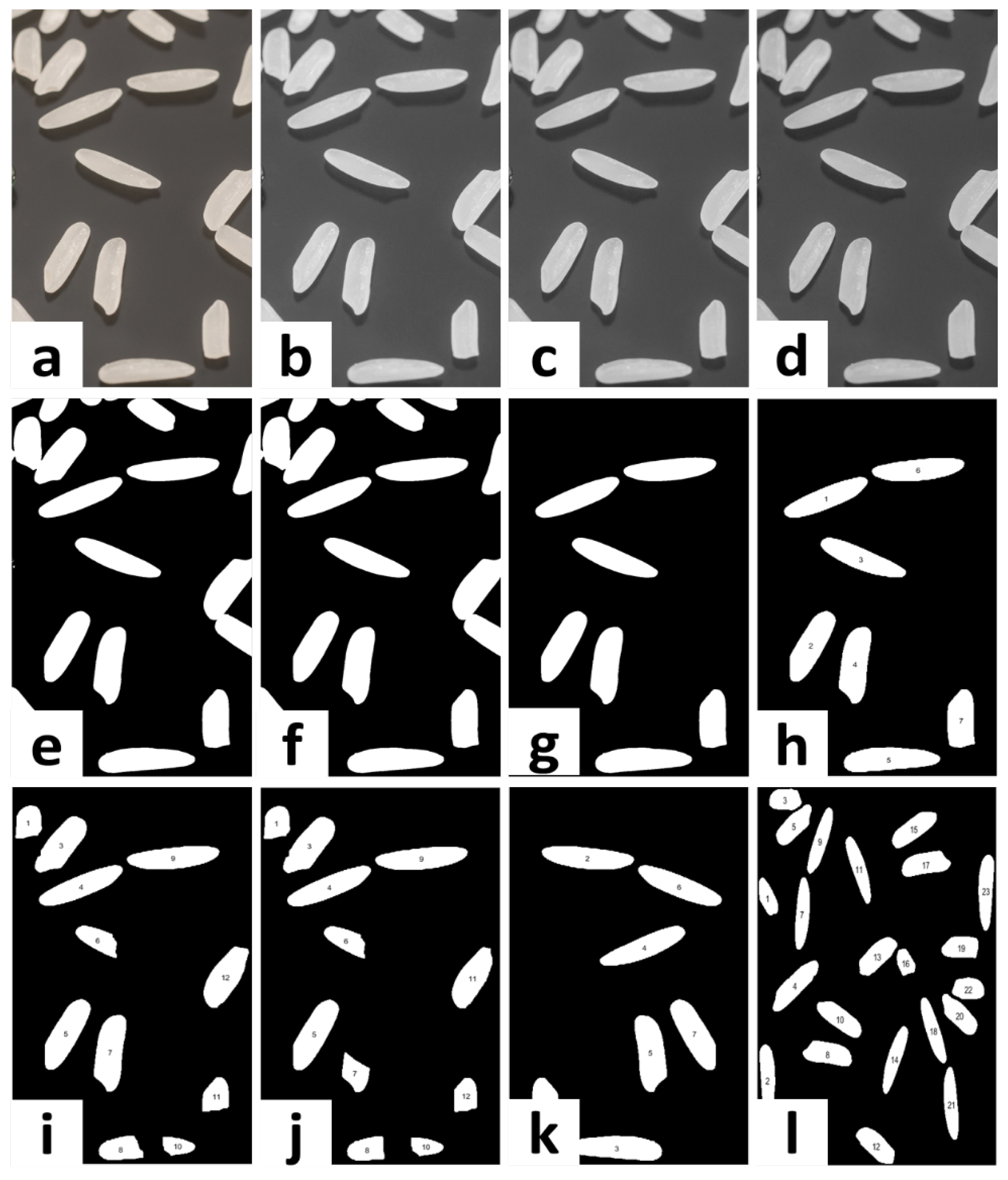 Asi 01 00019 g007
