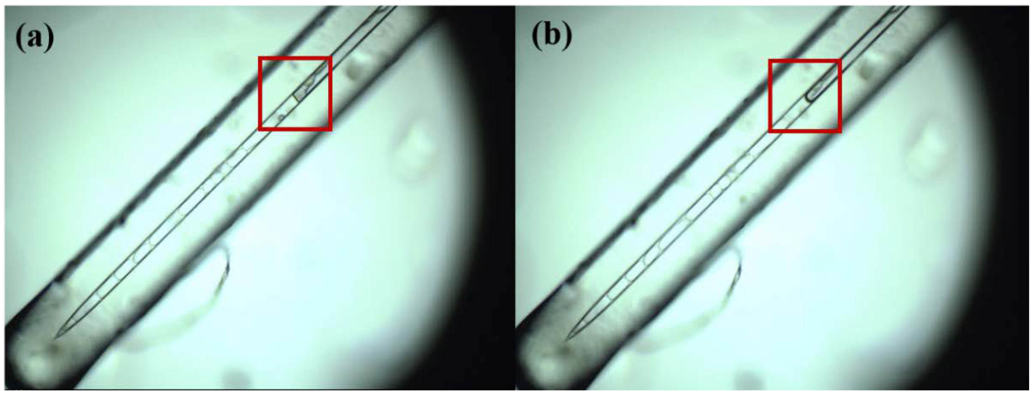 Atmosphere 09 00357 g003