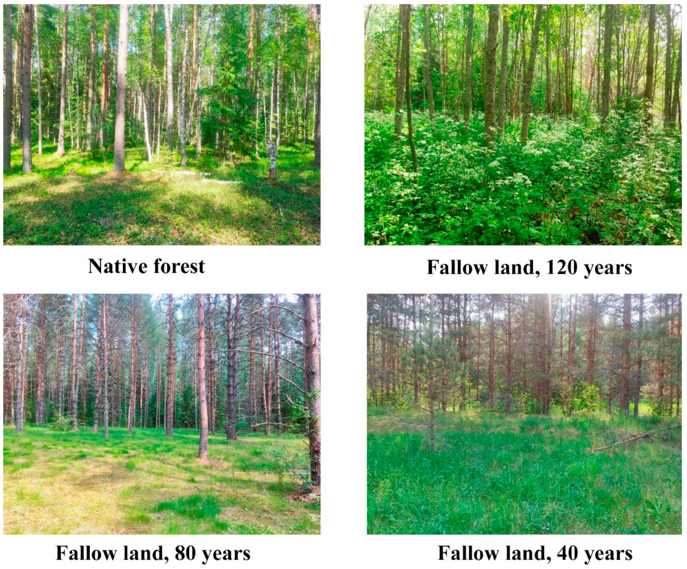 Atmosphere 14 01370 g002