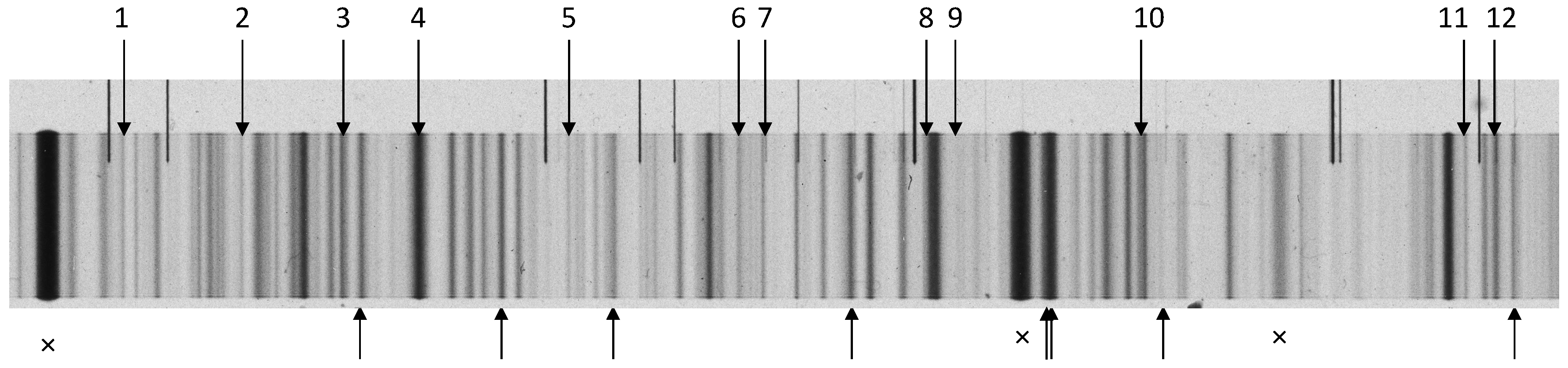 Atoms 05 00024 g001