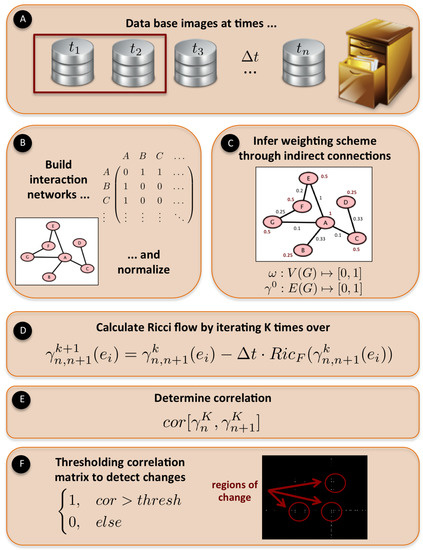 Dynamical economic essay mathematics process related system time topic
