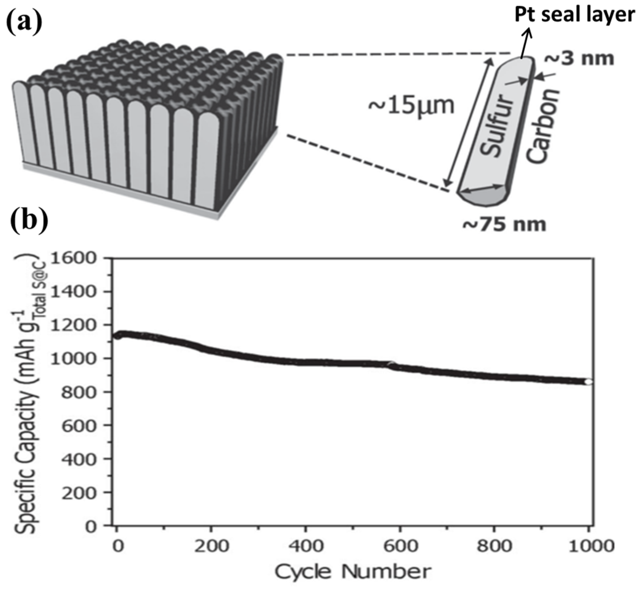 Batteries 02 00033 g010