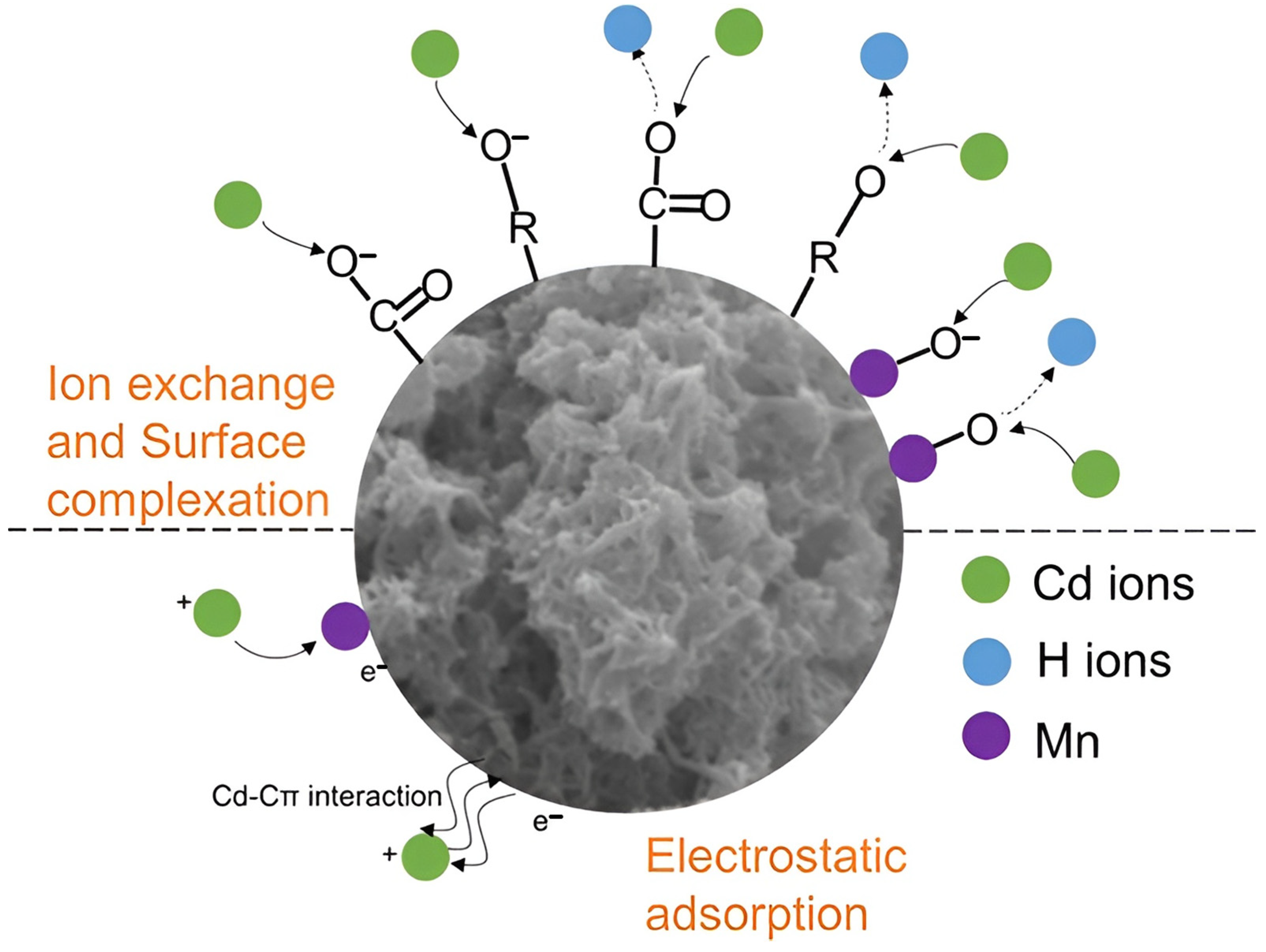 Batteries 09 00579 g003