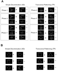 Behavsci 03 00206 g001 200