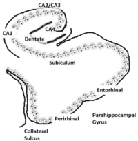 Behavsci 03 00298 g001 200