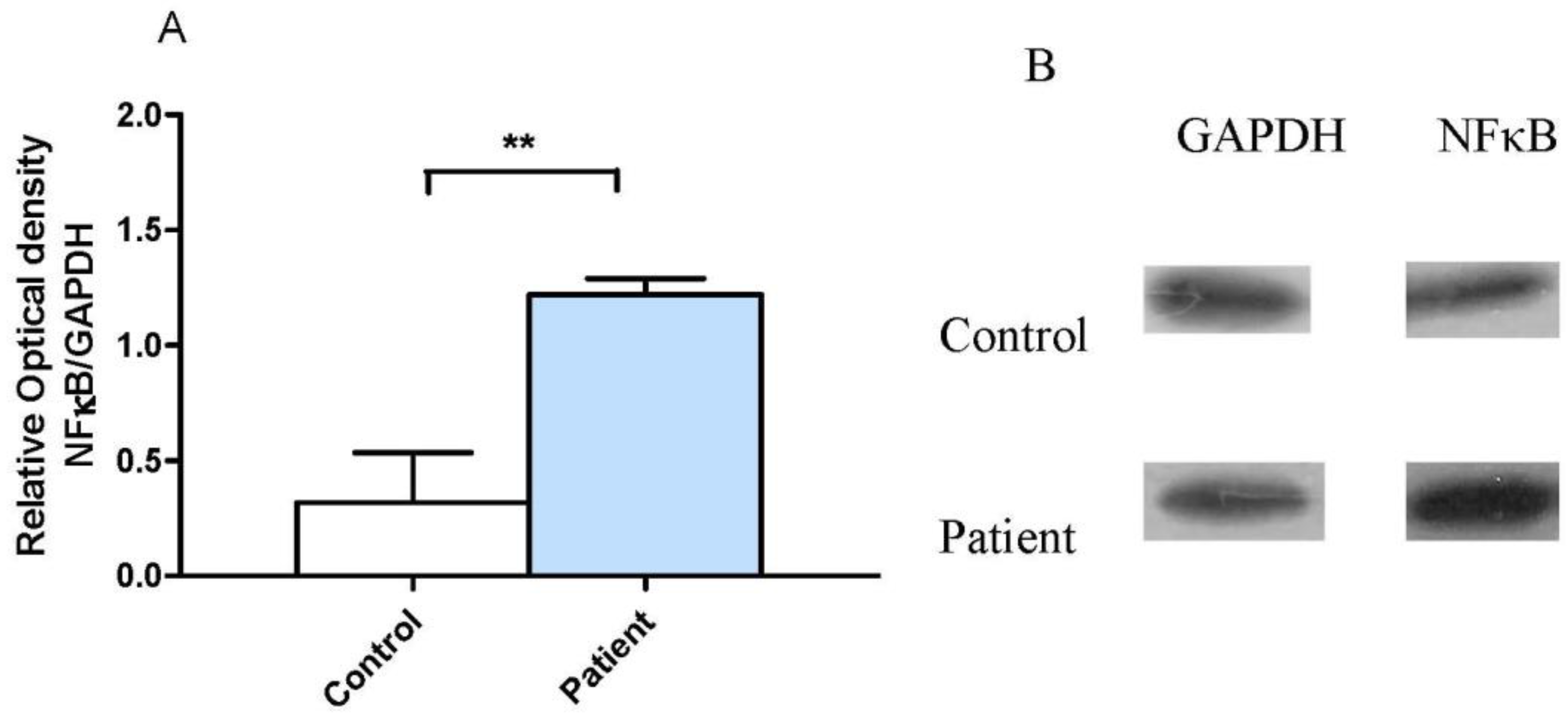 Behavsci 08 00021 g004