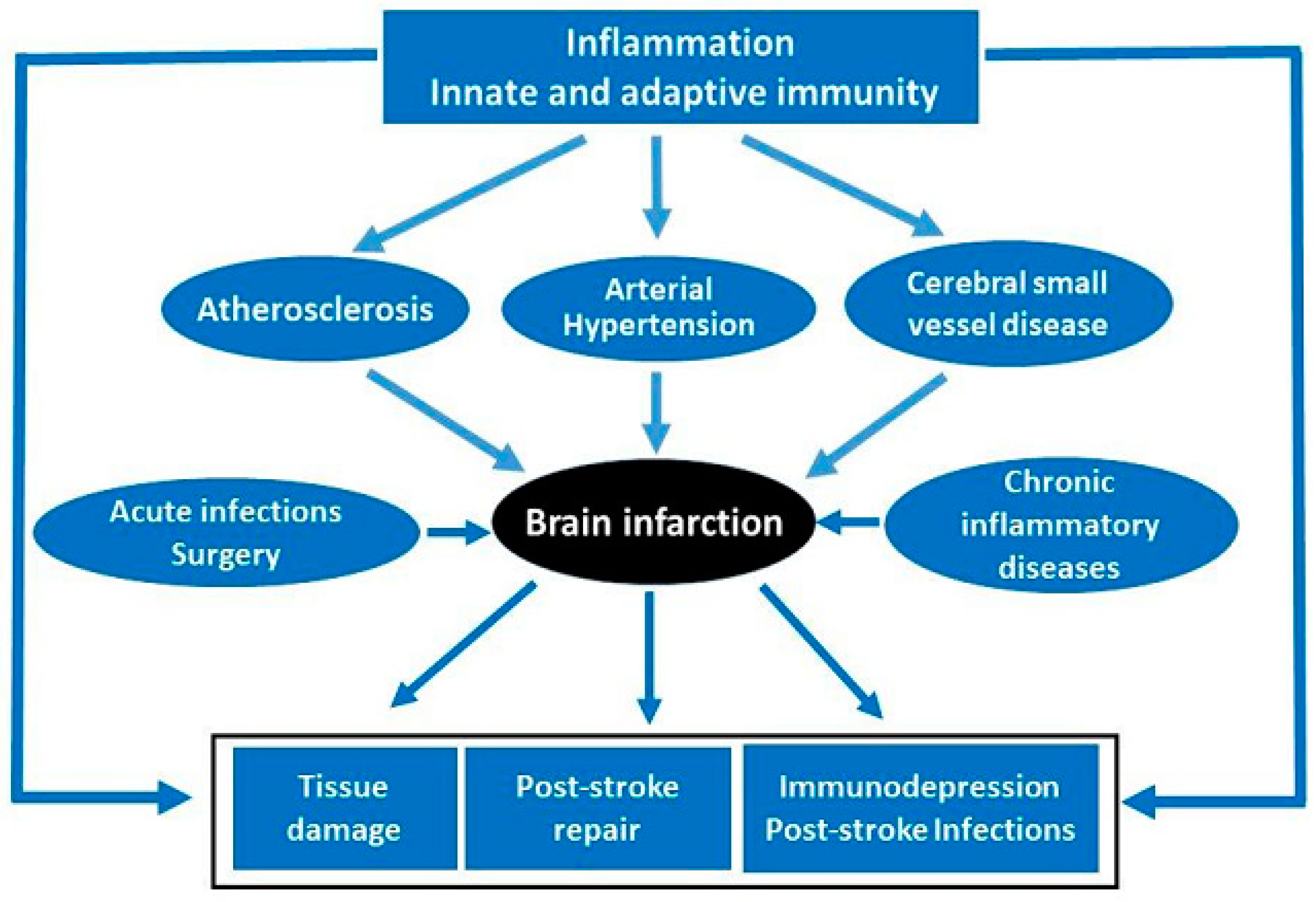 Behavsci 09 00099 g003