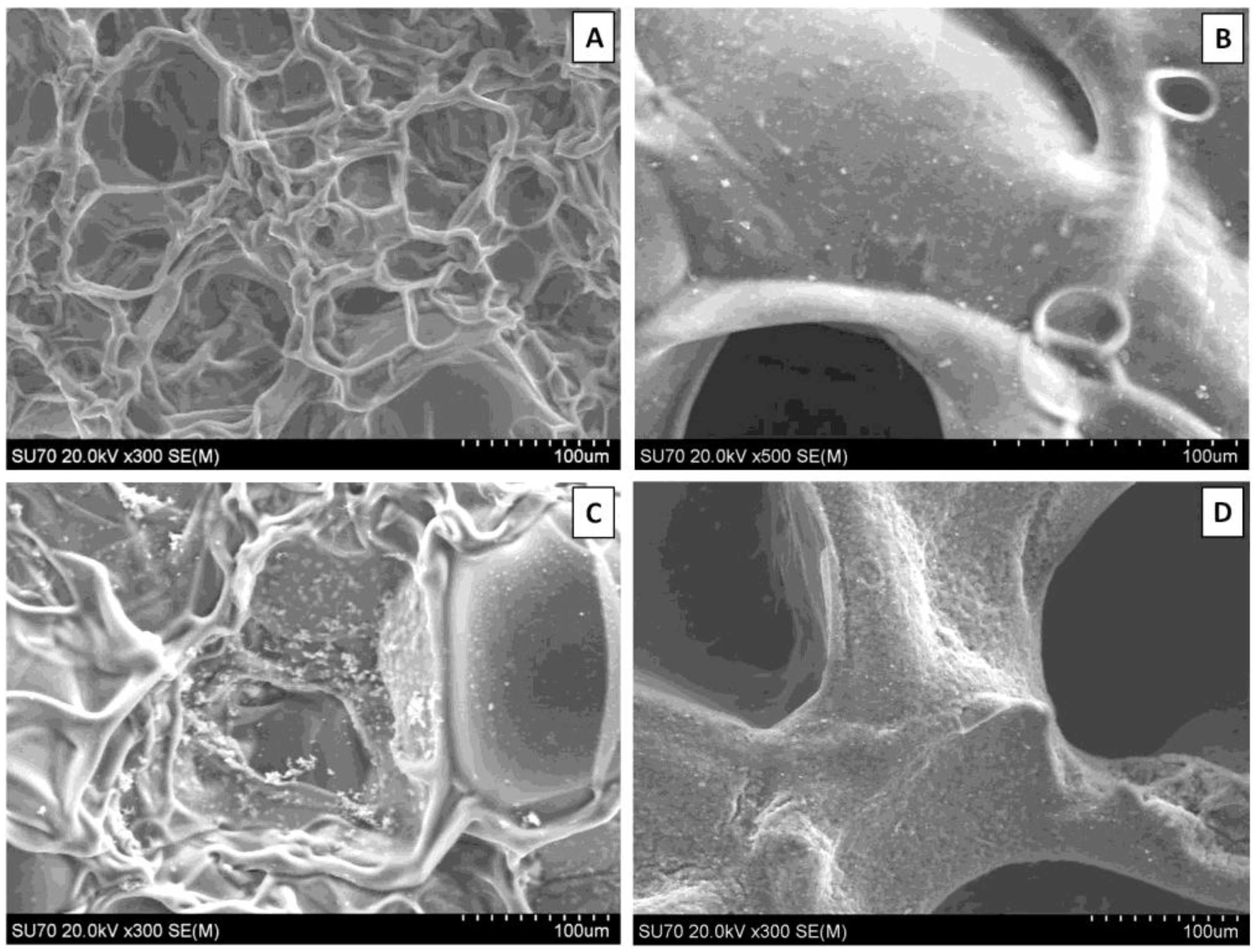 Bioengineering 01 00062 g002