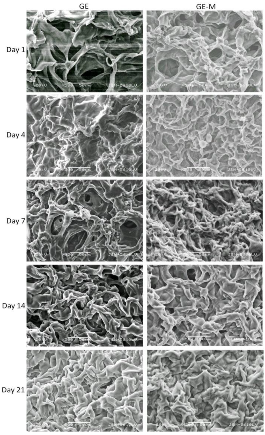 Bioengineering 01 00062 g010 1024