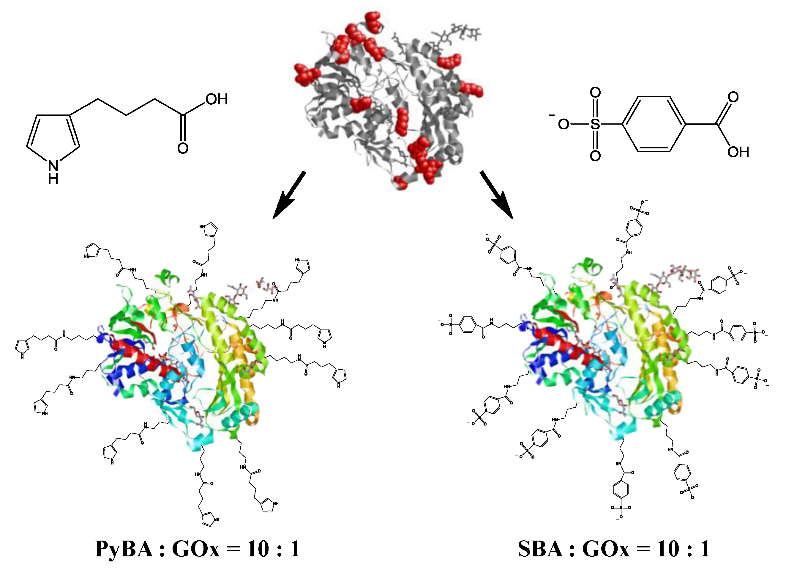 Bioengineering 01 00085 g003