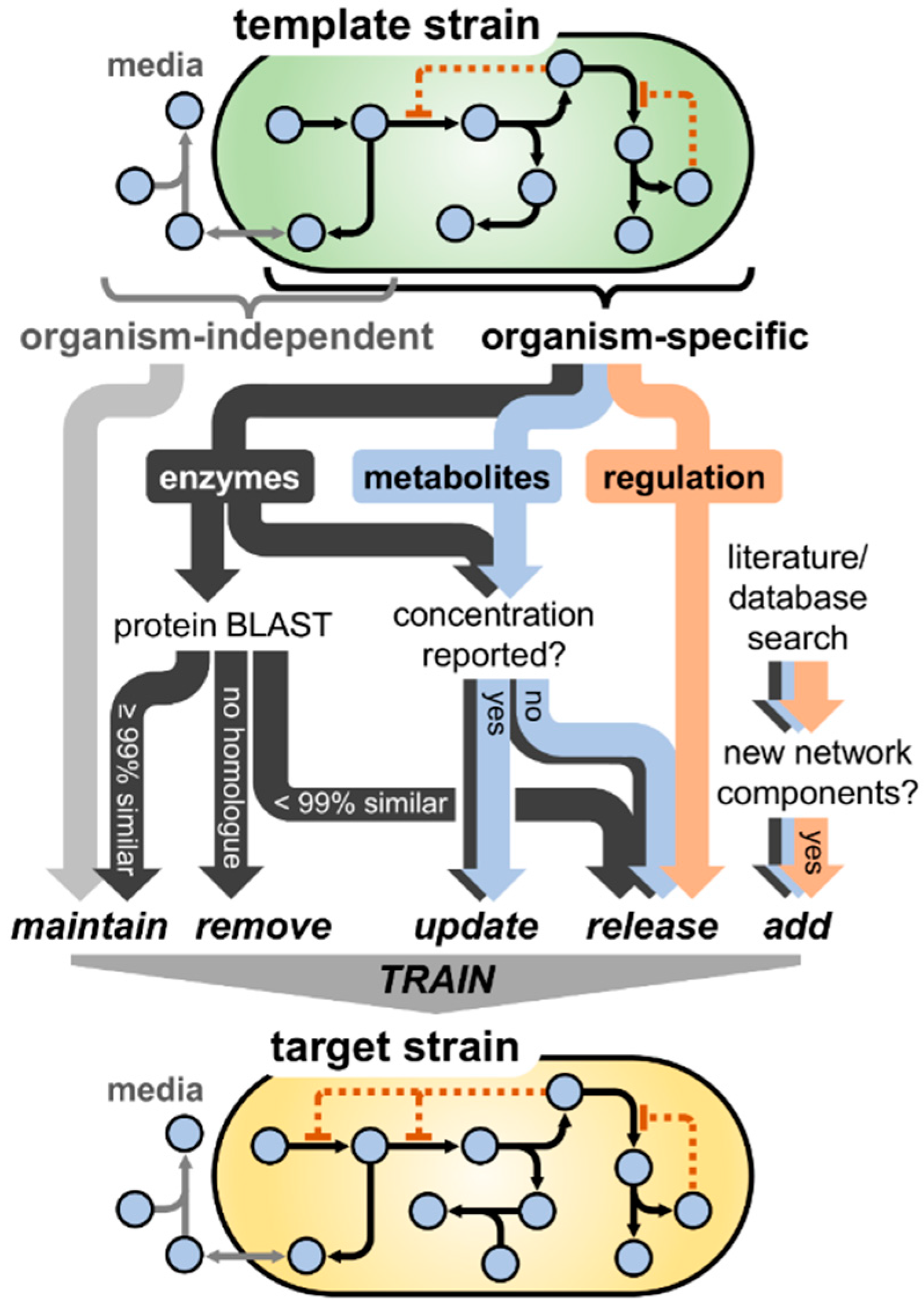 Bioengineering 03 00009 g001