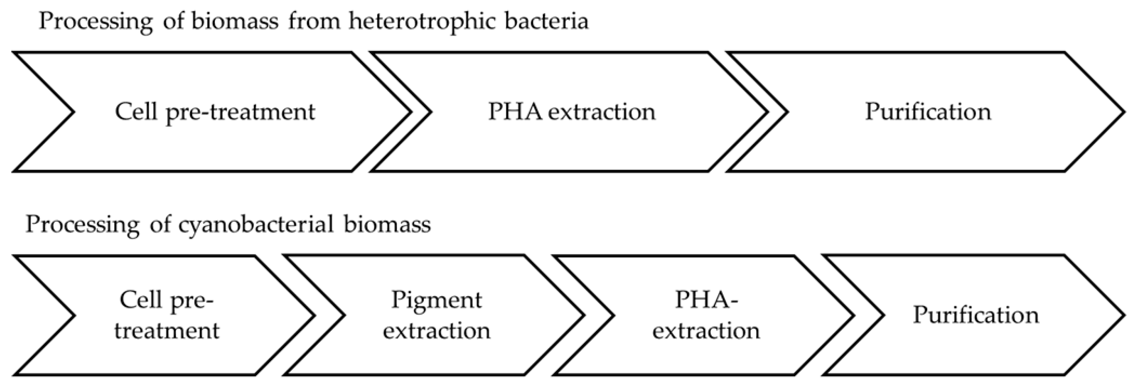 Bioengineering 04 00026 g005