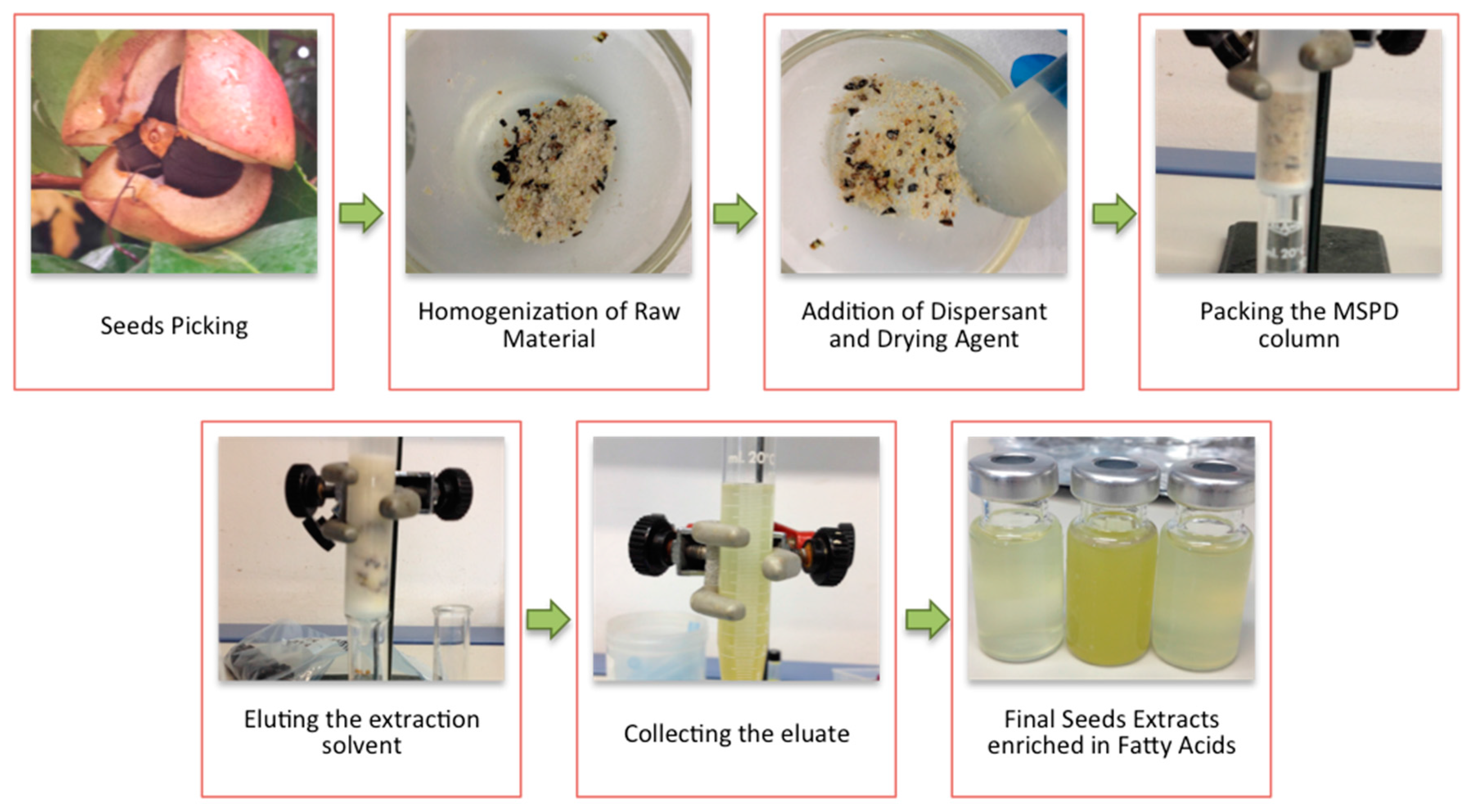 Bioengineering 04 00087 g001