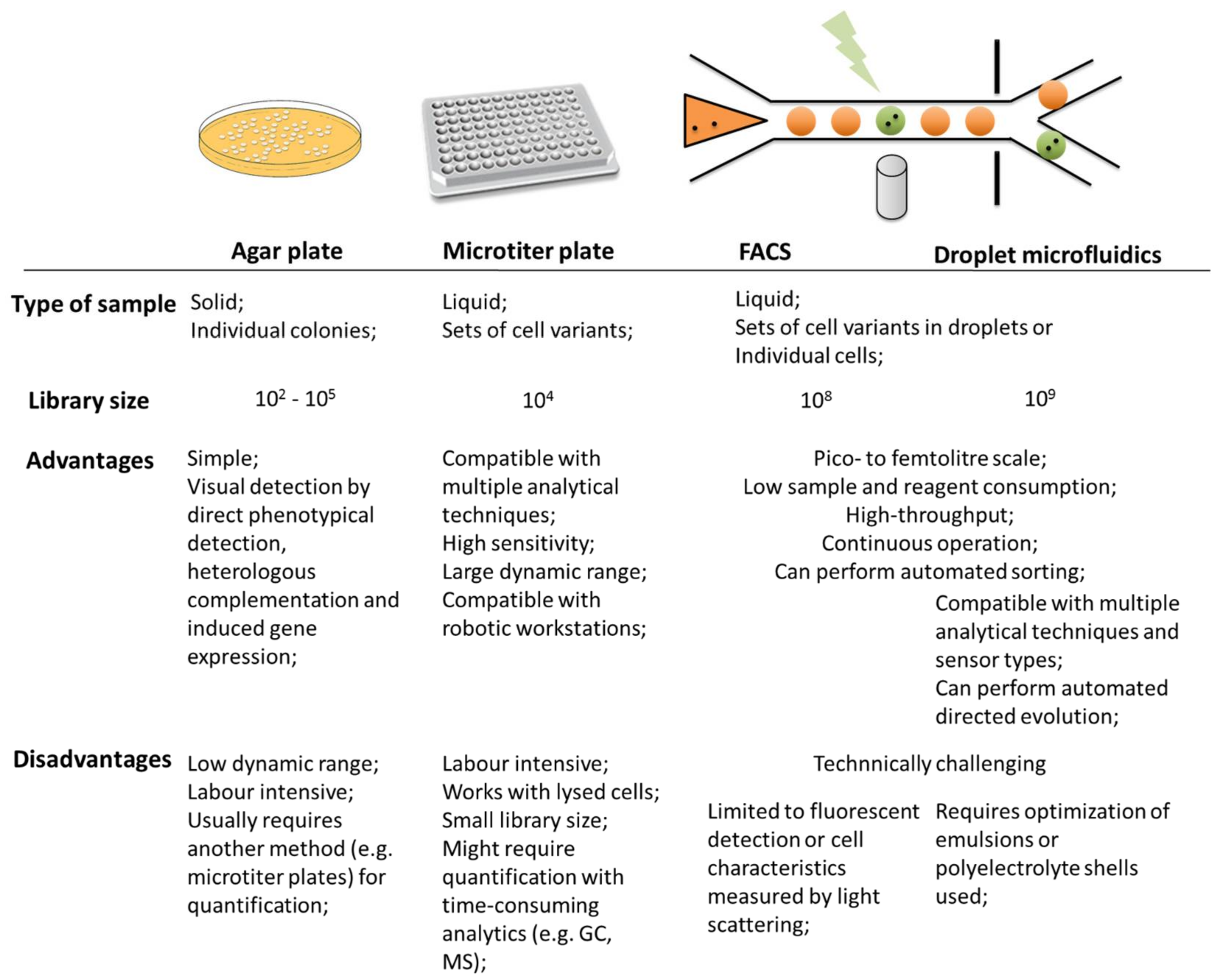Bioengineering 05 00030 g001