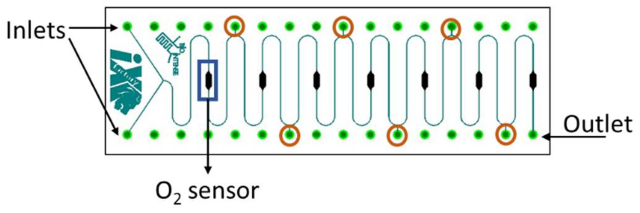 Bioengineering 05 00030 g003
