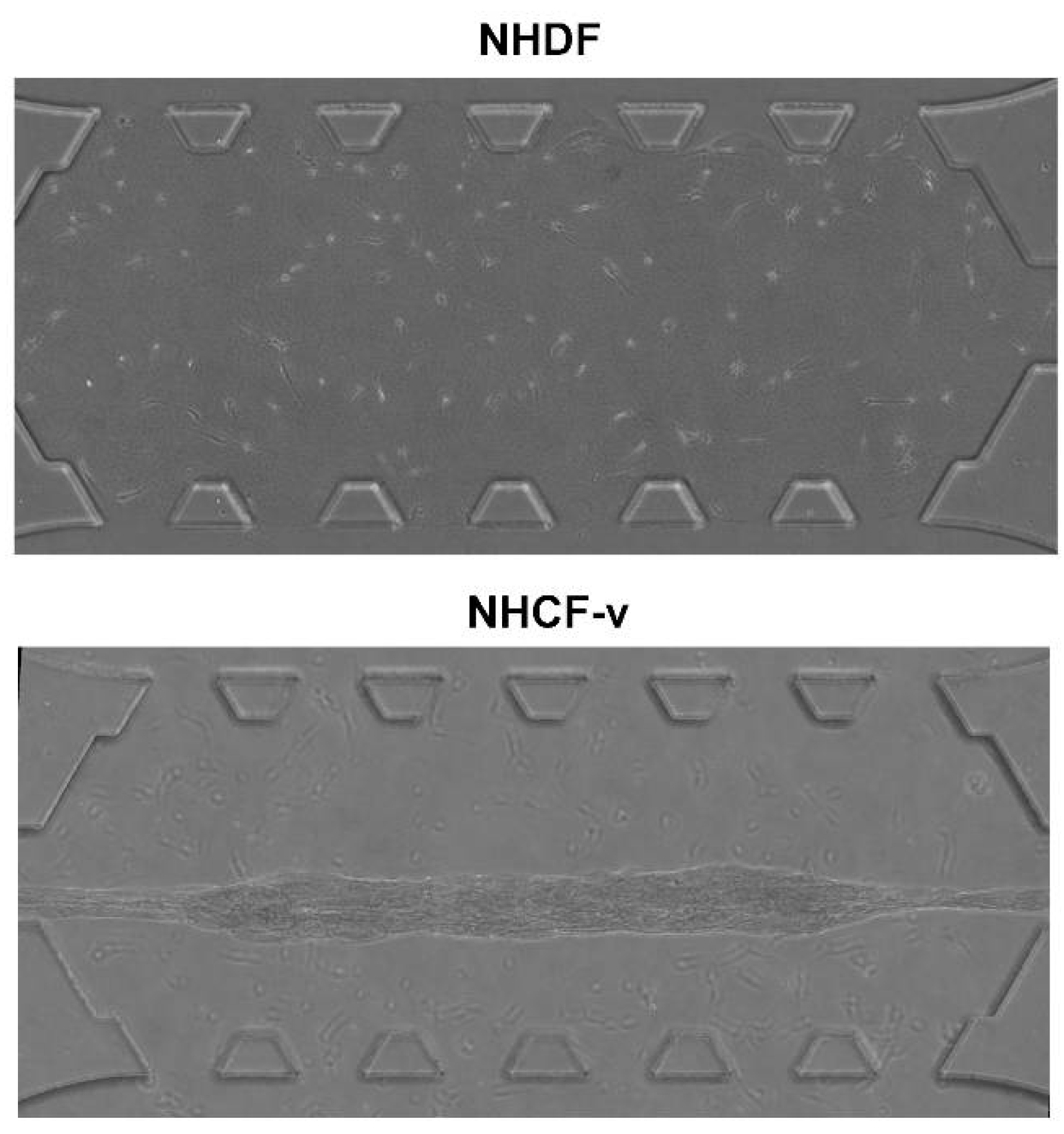 Bioengineering 05 00045 g002