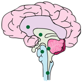 Bioengineering 05 00088 i001 Bioengineering 05 00088 i001