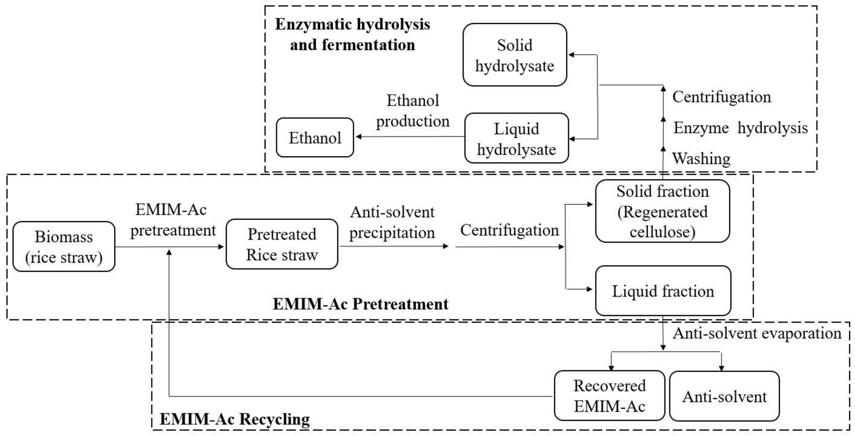 Bioengineering 09 00115 g001