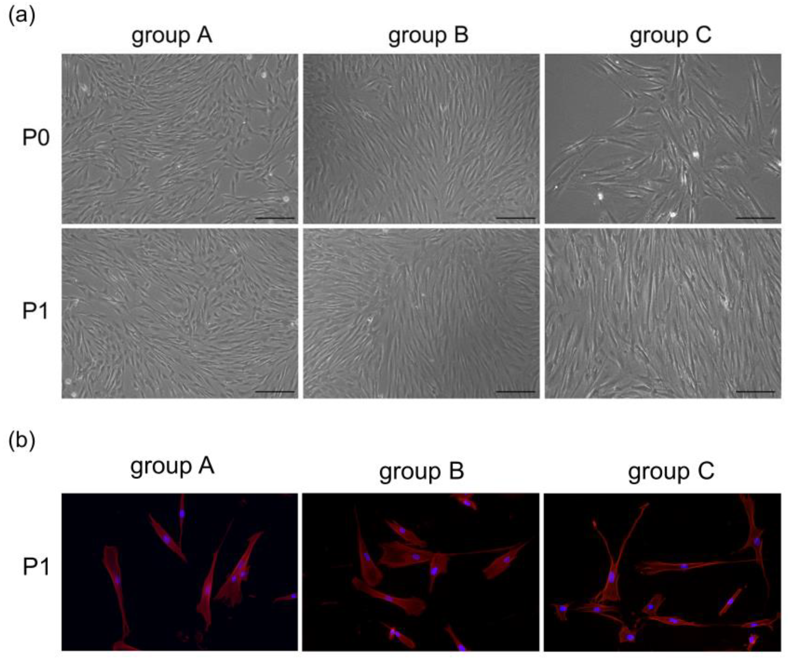 Bioengineering 10 00012 g002
