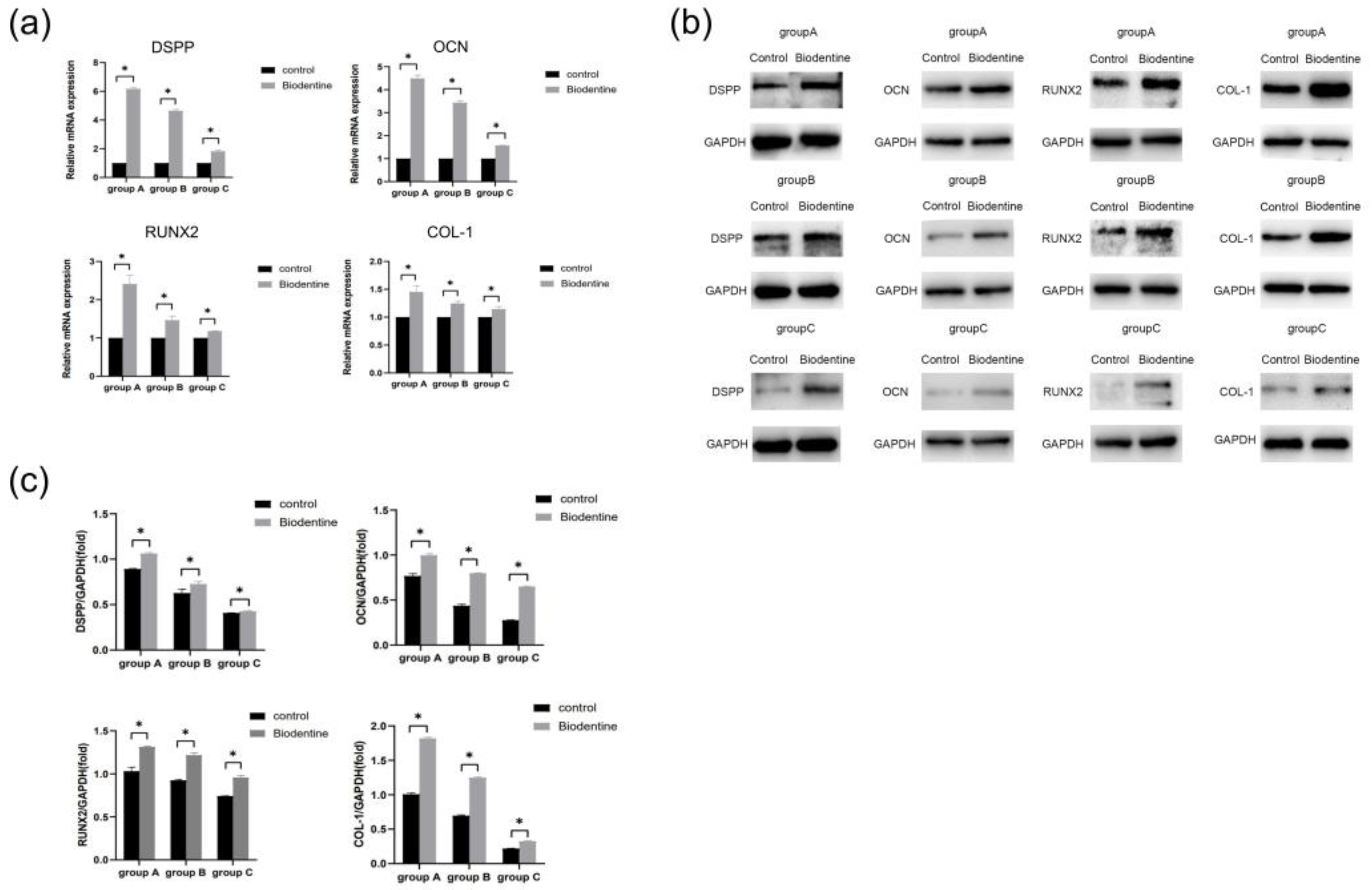Bioengineering 10 00012 g009