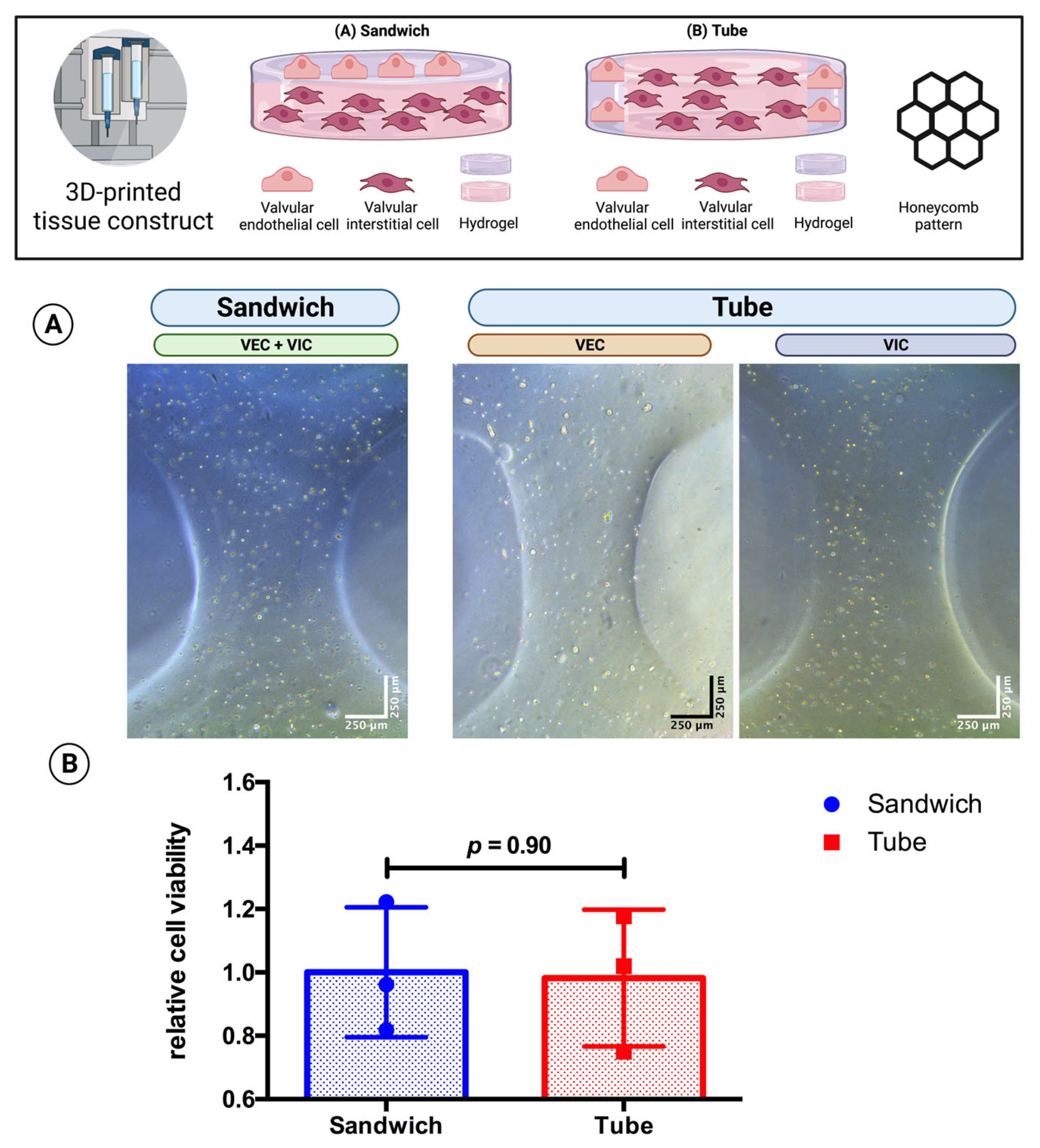 Bioengineering 10 00787 g006