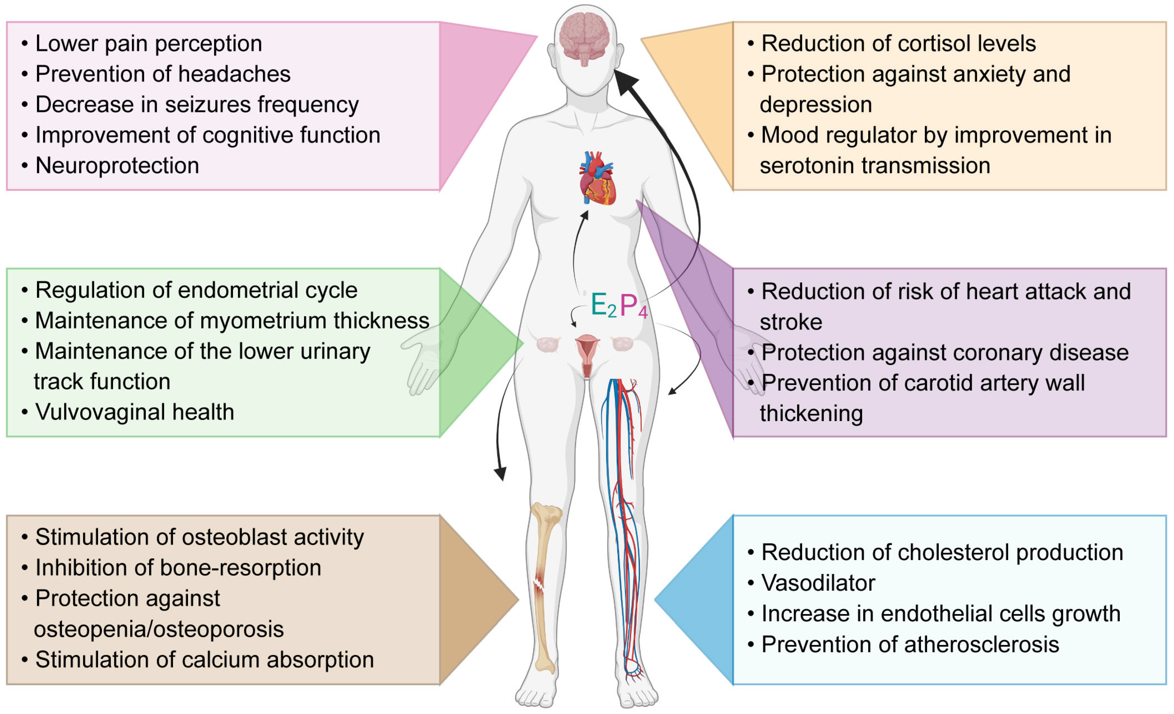 Bioengineering 10 00832 g001