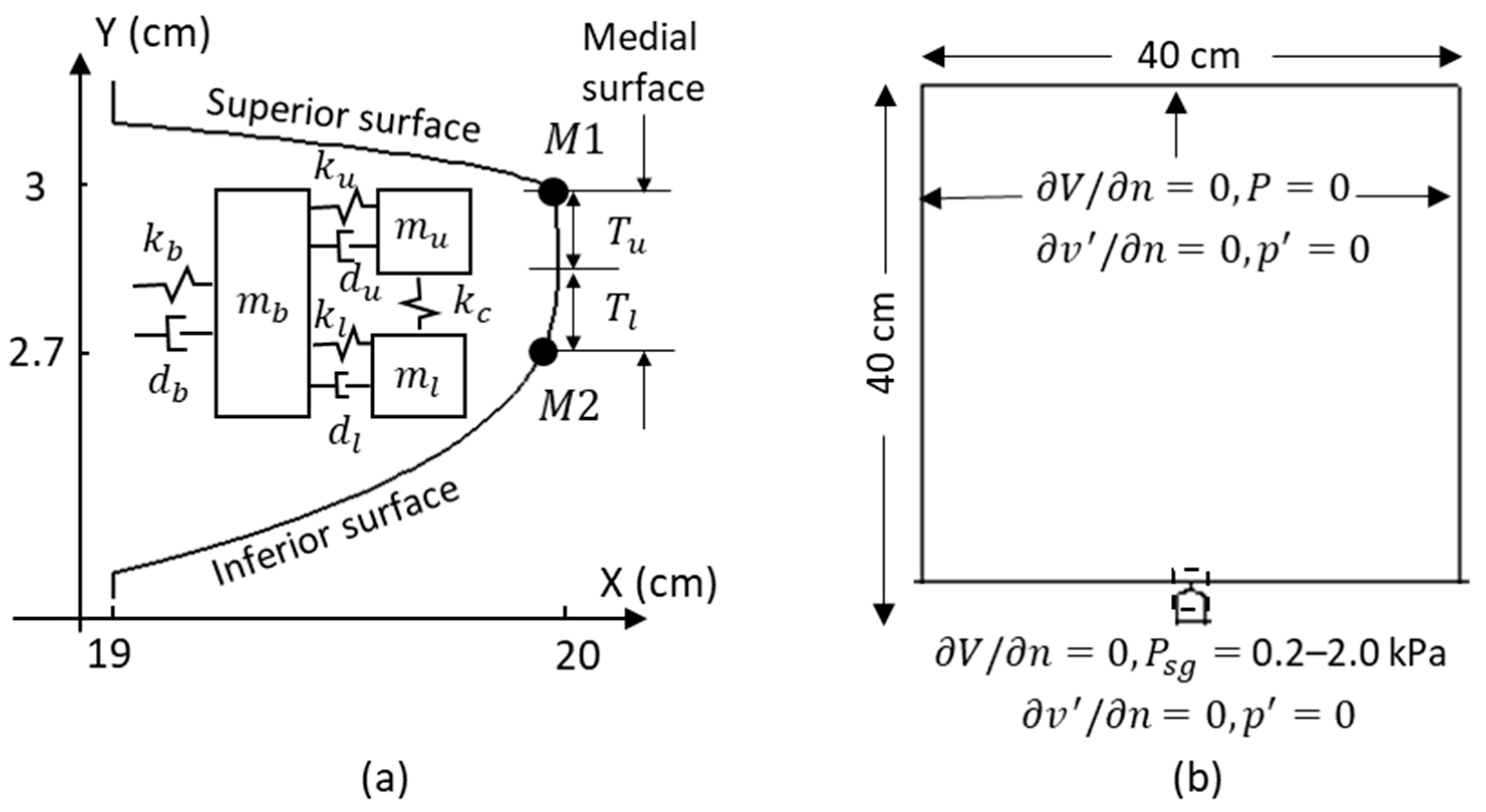 Bioengineering 10 01215 g001