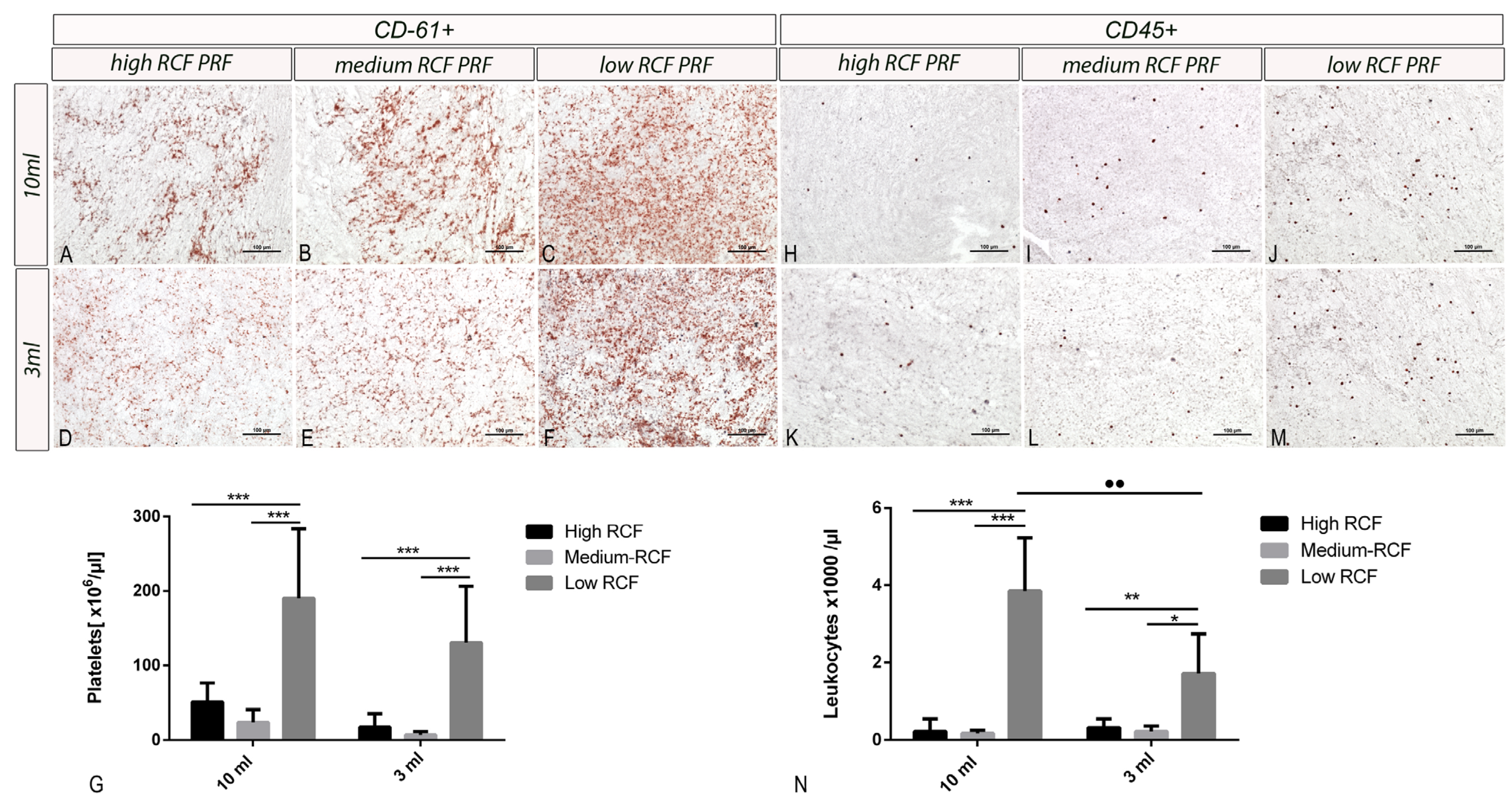 Bioengineering 11 00253 g003