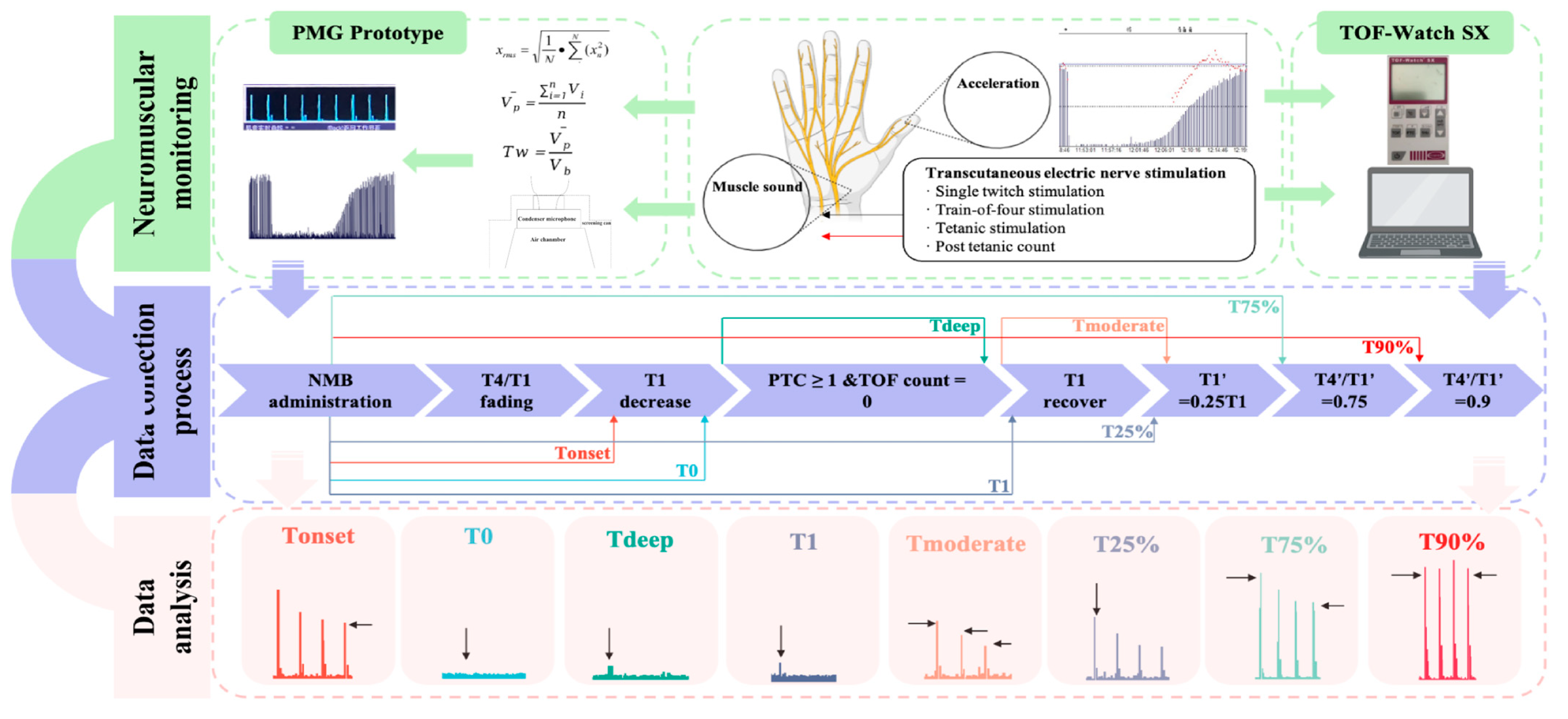 Bioengineering 11 00486 g001