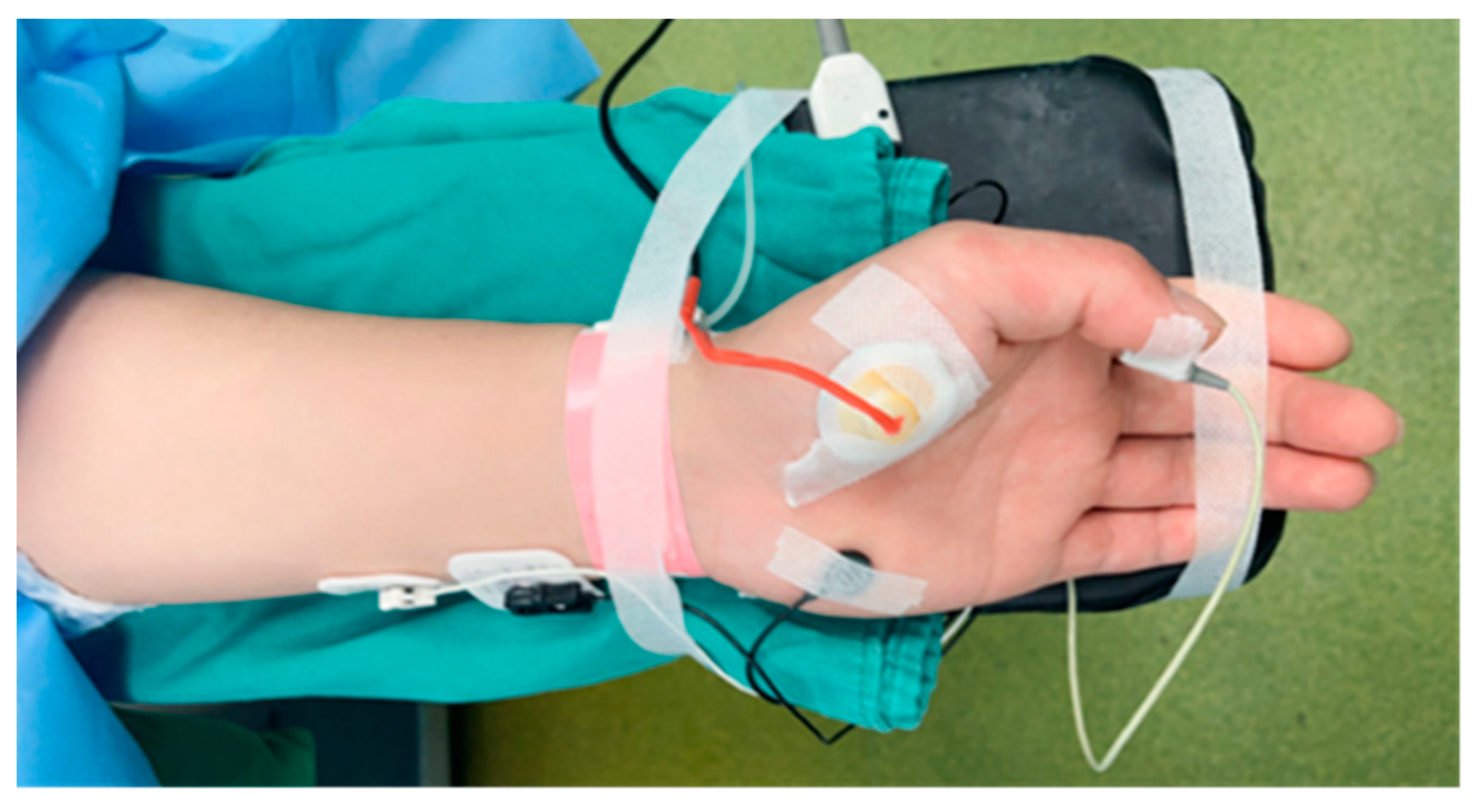 Bioengineering 11 00486 g002